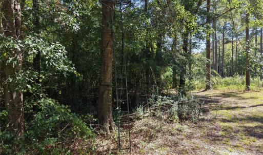 Photo #42 of 393 Red Hill, Wadesboro, NC