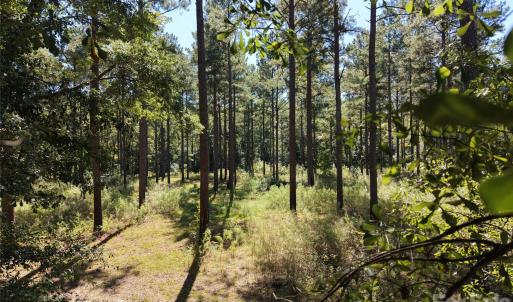 Photo #44 of 393 Red Hill, Wadesboro, NC