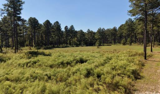 Photo #31 of 393 Red Hill, Wadesboro, NC