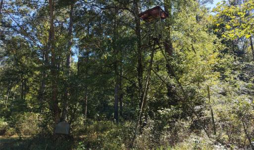 Photo #40 of 393 Red Hill, Wadesboro, NC