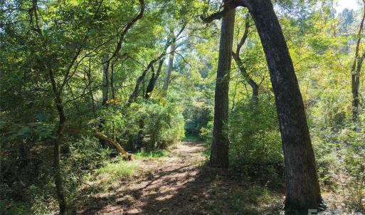 Photo #27 of 393 Red Hill, Wadesboro, NC