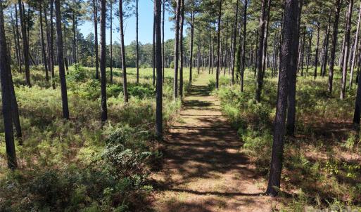 Photo #30 of 393 Red Hill, Wadesboro, NC