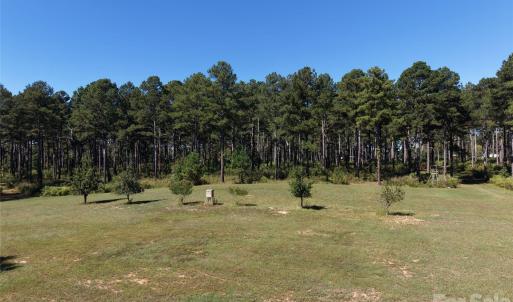 Photo #35 of 393 Red Hill, Wadesboro, NC