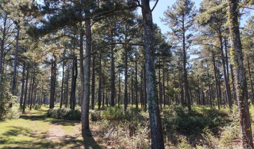 Photo #45 of 393 Red Hill, Wadesboro, NC