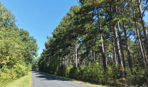 Photo #6 of 393 Red Hill, Wadesboro, NC