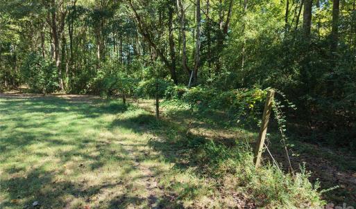 Photo #38 of 393 Red Hill, Wadesboro, NC