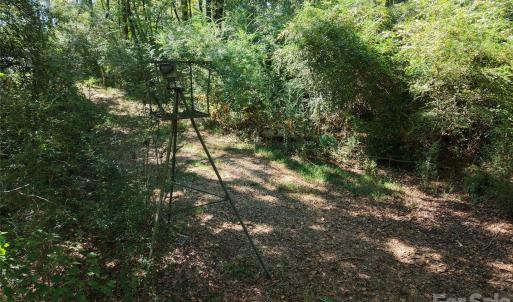 Photo #28 of 393 Red Hill, Wadesboro, NC