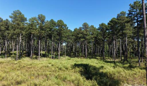 Photo #34 of 393 Red Hill, Wadesboro, NC