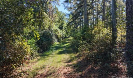 Photo #29 of 393 Red Hill, Wadesboro, NC