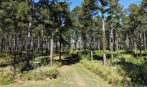 Photo #33 of 393 Red Hill, Wadesboro, NC