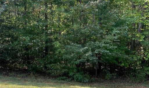 Photo #2 of TBD Sanctuary, Lilesville, NC