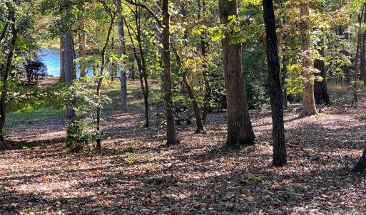 Photo #3 of 116 Long Cove, New London, NC