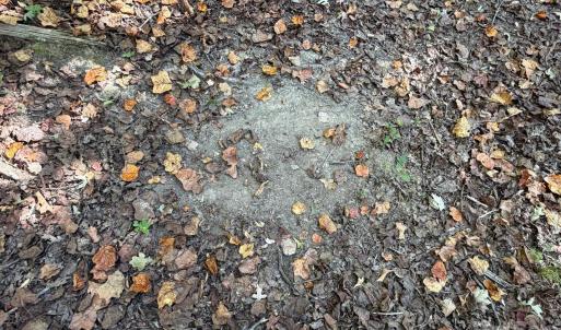 Photo #12 of Lot 2 Ramah Church, York, SC