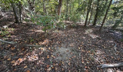 Photo #11 of Lot 2 Ramah Church, York, SC