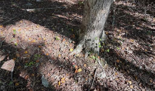 Photo #10 of Lot 2 Ramah Church, York, SC