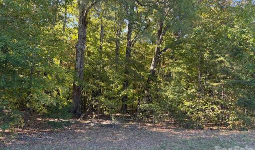 Photo #16 of Lot 2 Ramah Church, York, SC