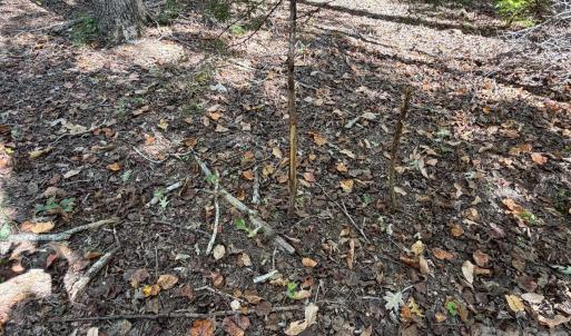 Photo #14 of Lot 2 Ramah Church, York, SC