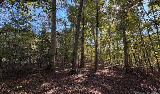 Photo #9 of Lot 2 Ramah Church, York, SC