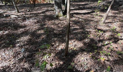 Photo #15 of Lot 2 Ramah Church, York, SC