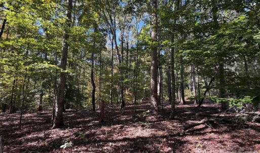 Photo #8 of Lot 2 Ramah Church, York, SC
