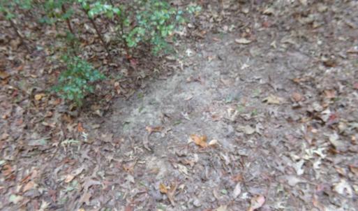 Photo #25 of 60 Ac Armenia, Chester, SC
