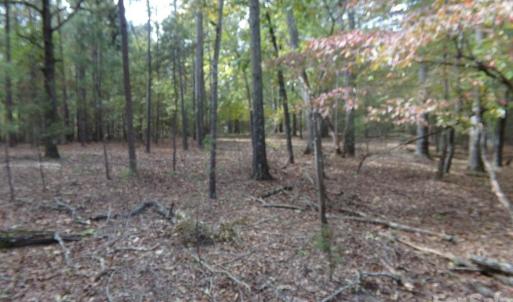 Photo #11 of 60 Ac Armenia, Chester, SC