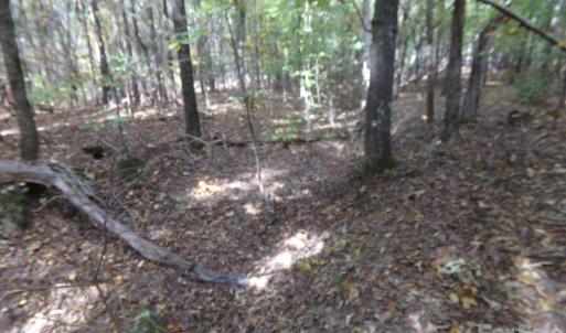 Photo #8 of 60 Ac Armenia, Chester, SC