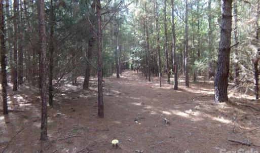 Photo #15 of 60 Ac Armenia, Chester, SC