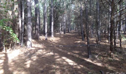 Photo #16 of 60 Ac Armenia, Chester, SC