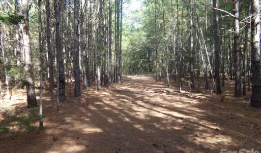 Photo #22 of 60 Ac Armenia, Chester, SC