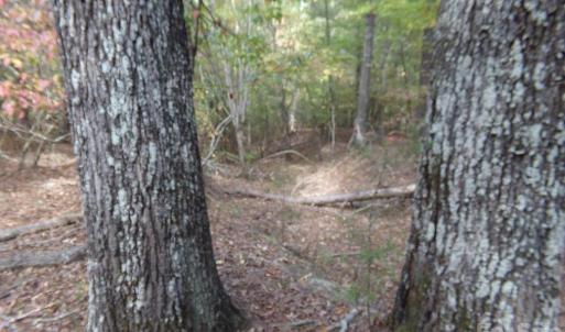 Photo #13 of 60 Ac Armenia, Chester, SC