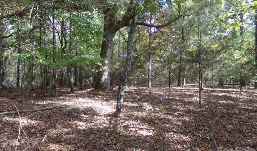 Photo #14 of 60 Ac Armenia, Chester, SC
