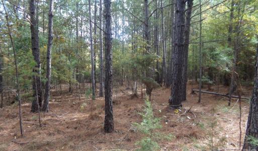 Photo #19 of 60 Ac Armenia, Chester, SC