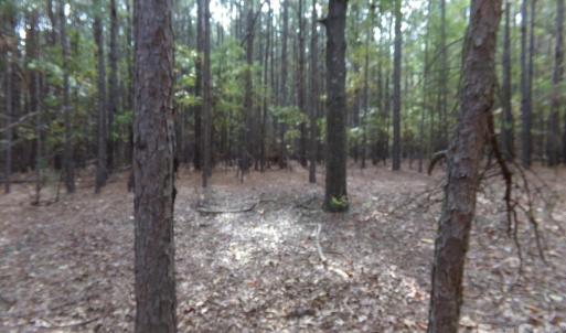 Photo #17 of 60 Ac Armenia, Chester, SC
