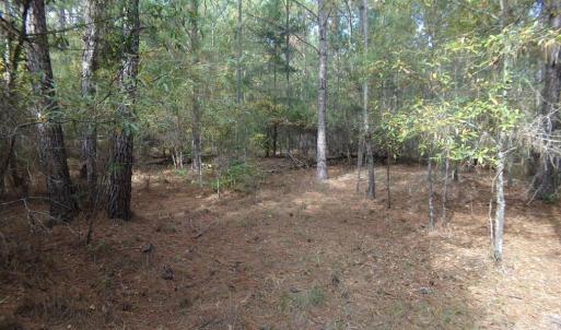 Photo #7 of 60 Ac Armenia, Chester, SC