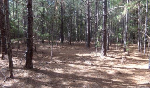Photo #18 of 60 Ac Armenia, Chester, SC