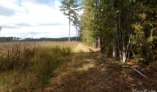Photo #29 of 60 Ac Armenia, Chester, SC