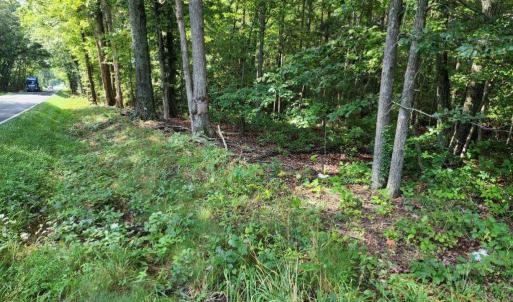 Photo #4 of 0 WHIPPOORWILL DR, X 4 AND CHICKADEE CT X 4, BARBOURSVILLE, VA 171.0 acres