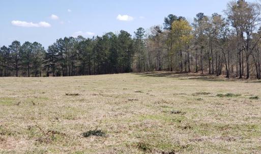 Photo #7 of 716 Augusta, Edgefield, SC 30.3 acres