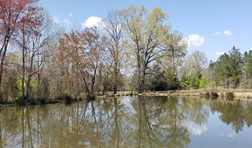 Photo #5 of 716 Augusta, Edgefield, SC 30.3 acres