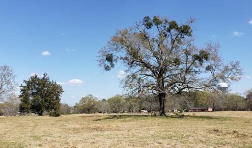 Photo #6 of 716 Augusta, Edgefield, SC 30.3 acres