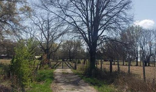 Photo #14 of 716 Augusta, Edgefield, SC 30.3 acres