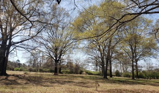Photo #11 of 716 Augusta, Edgefield, SC 30.3 acres