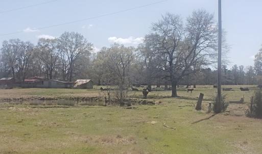 Photo #9 of 716 Augusta, Edgefield, SC 30.3 acres