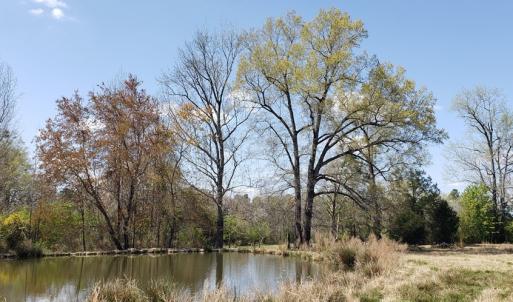 Photo #20 of 716 Augusta, Edgefield, SC 30.3 acres