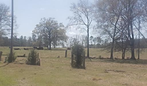 Photo #16 of 716 Augusta, Edgefield, SC 30.3 acres