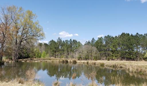 Photo #27 of 716 Augusta, Edgefield, SC 30.3 acres
