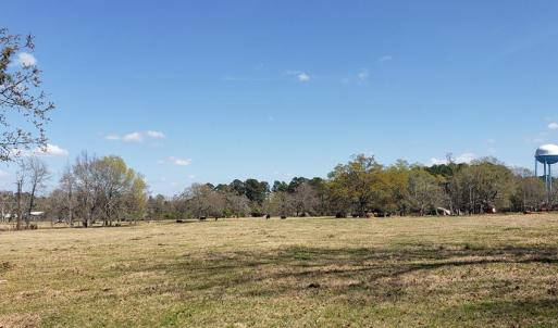 Photo #8 of 716 Augusta, Edgefield, SC 30.3 acres