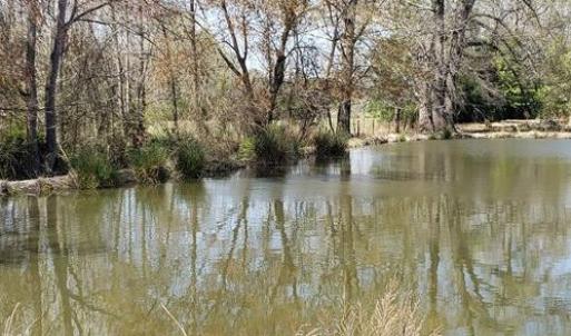 Photo #18 of 716 Augusta, Edgefield, SC 30.3 acres