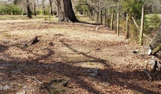 Photo #19 of 716 Augusta, Edgefield, SC 30.3 acres